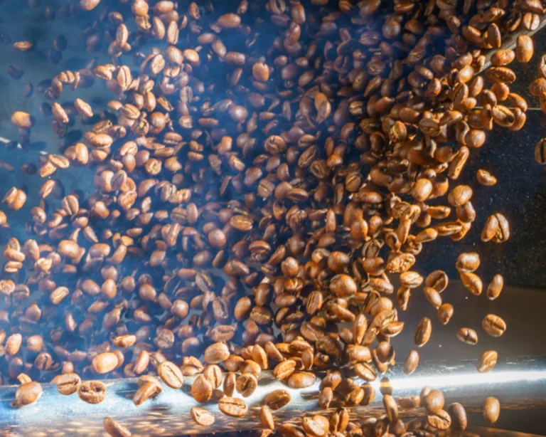 グリーンコーヒーとは